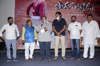 Maa Vintha Gadha Vinuma Pre Release Photos